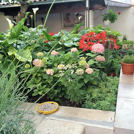 Kresic בית הארחה